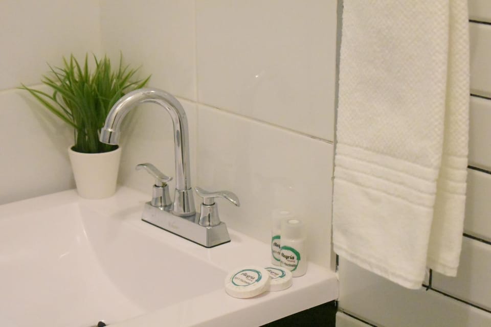 G - Céntrico Loft Privado - Alegría Housing Apartment in Aguascalientes