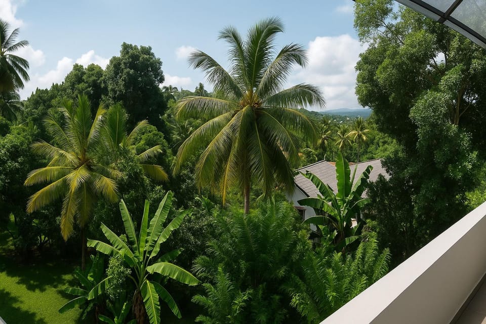 Natural landscape, Garden view, Mountain view