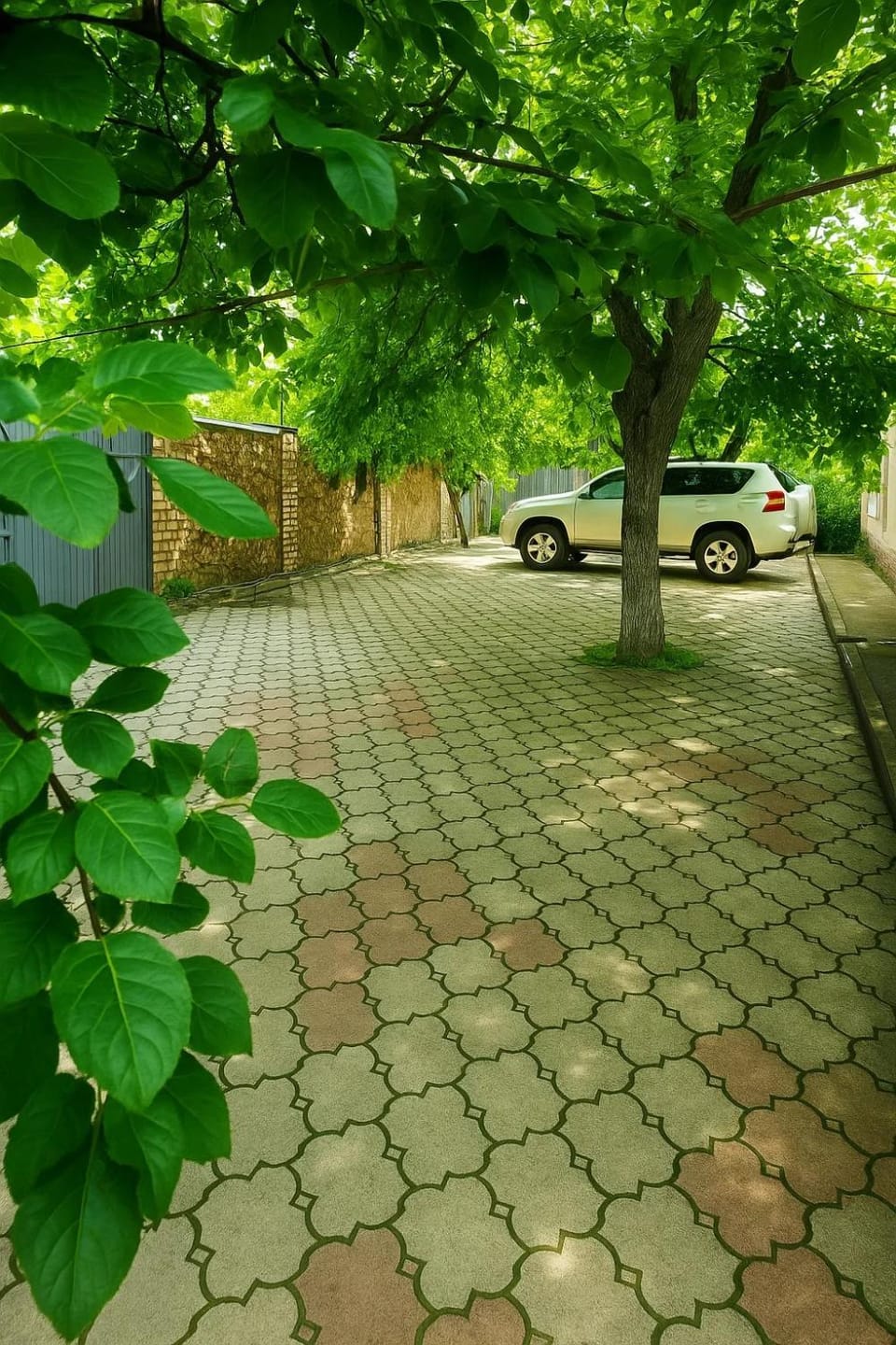 Day, Parking