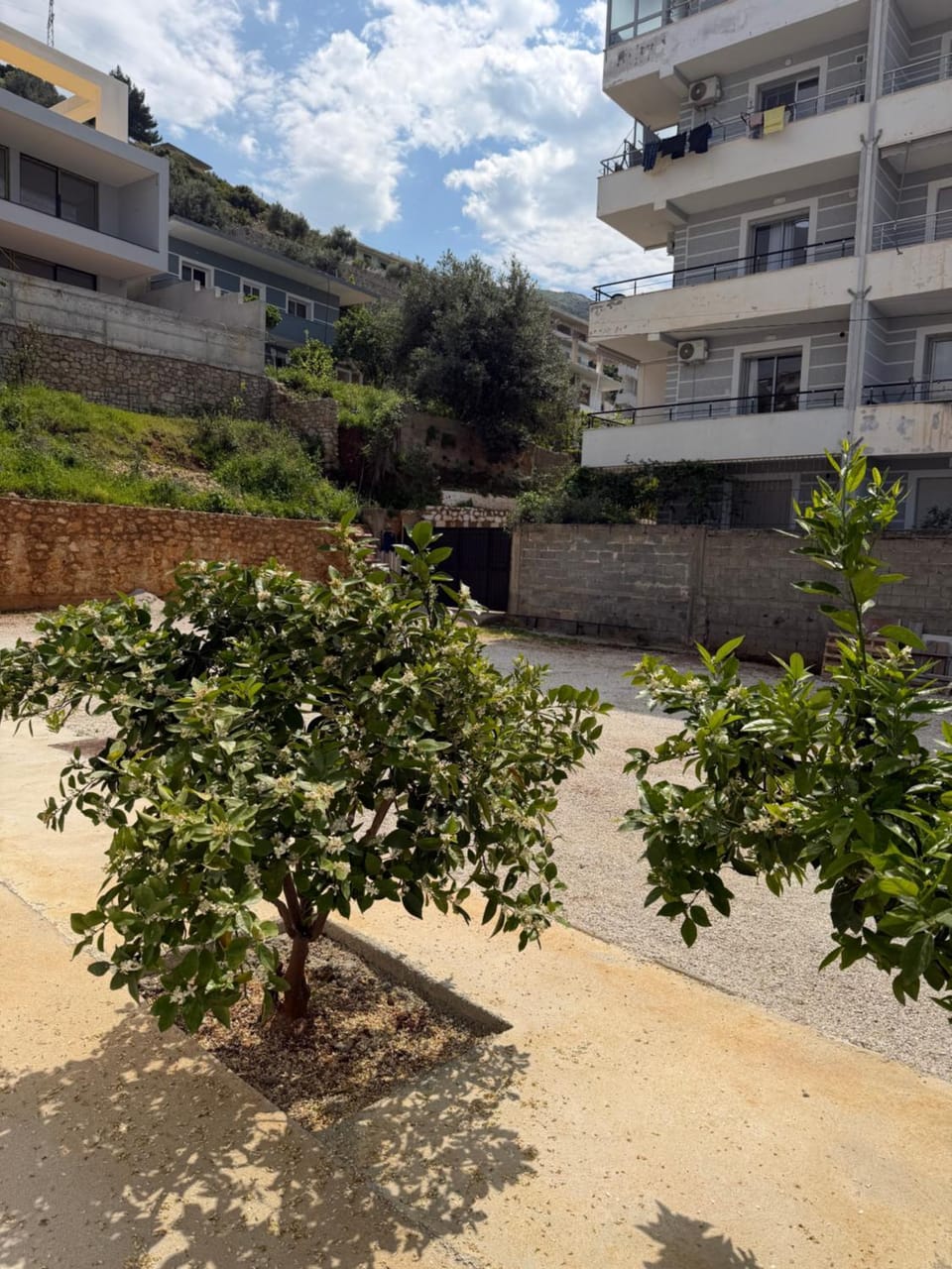 Villa Christianna Free Parking Apartment in Vlorë