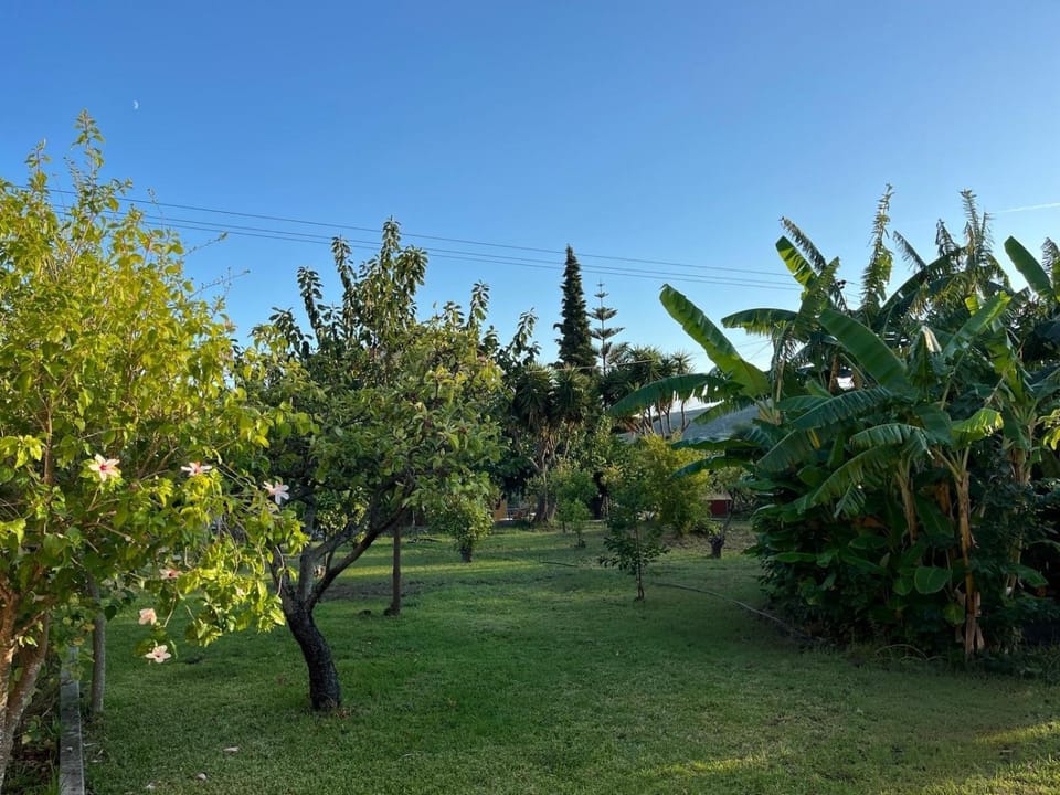 Anabelis studios & apartments Apartment in Cephalonia
