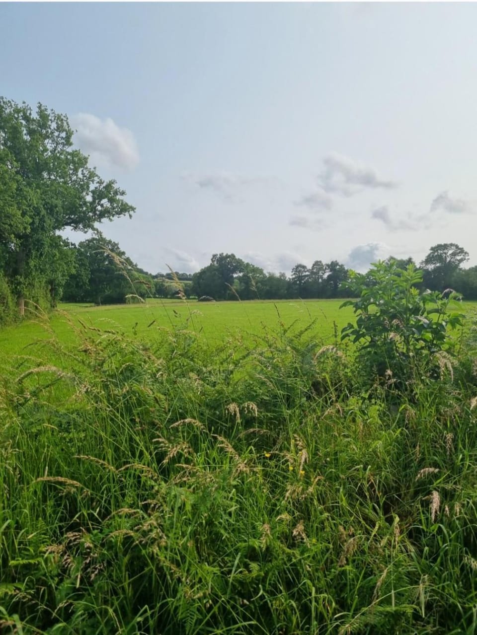 Property building, Natural landscape