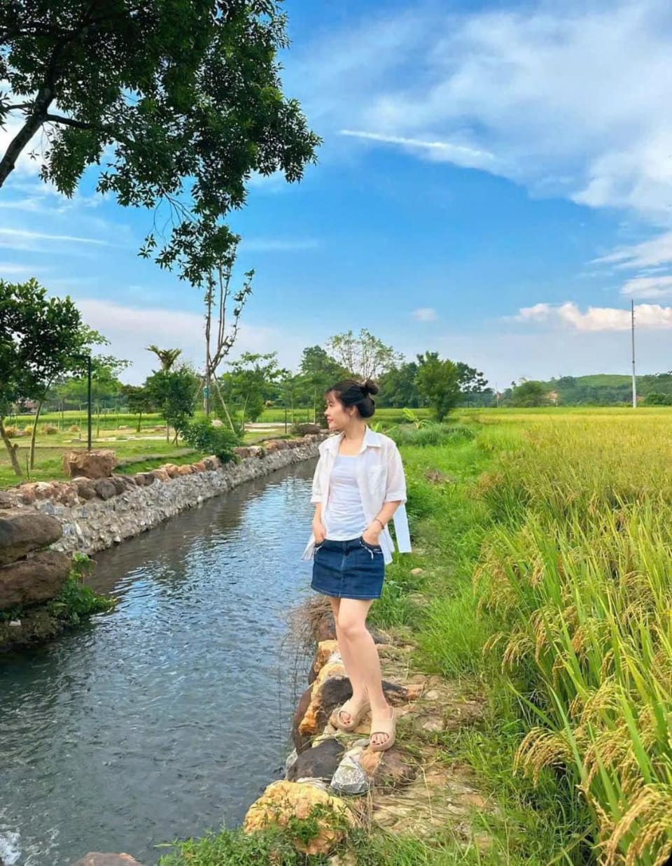 Natural landscape