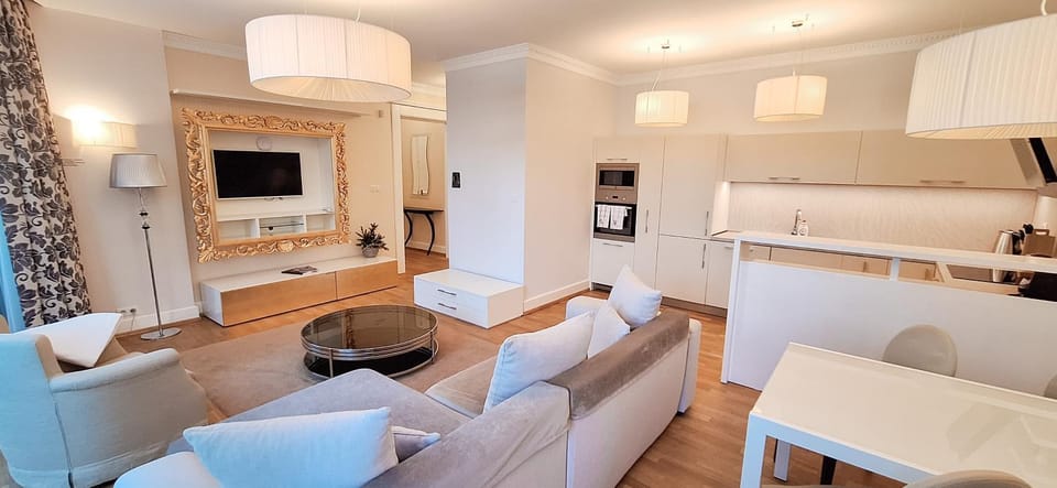 Living room, kitchen