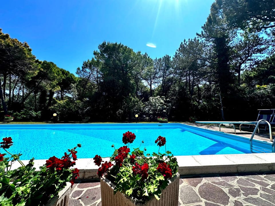 Swimming pool, Swimming pool