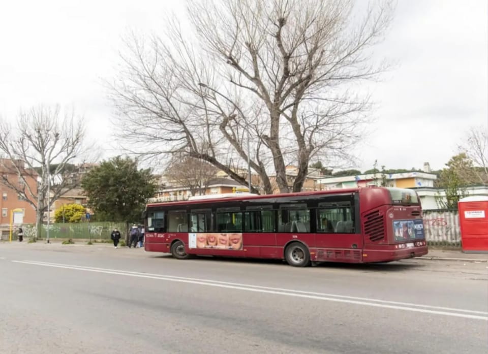 Day, People, Location, group of guests, shuttle