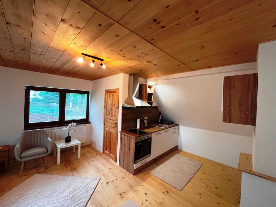 Apartmán Kunratice 2 Apartment in Czechia