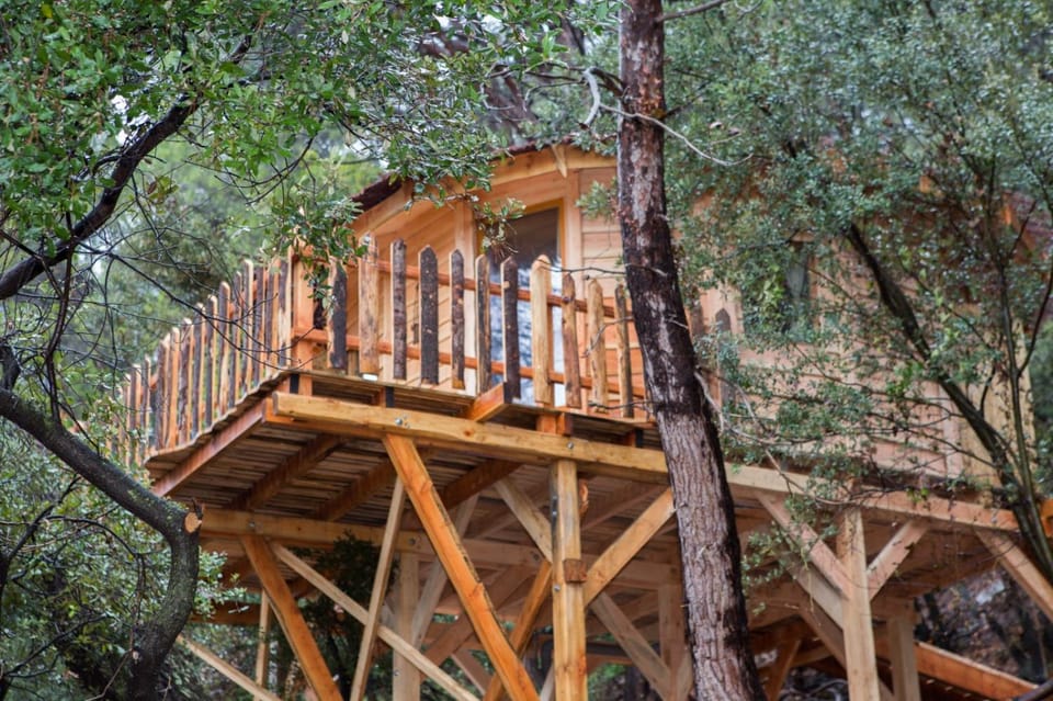 Logements insolites du Domaine de la Tuilière Bed and Breakfast in French Riviera