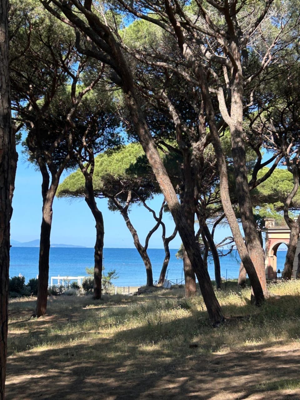 Natural landscape