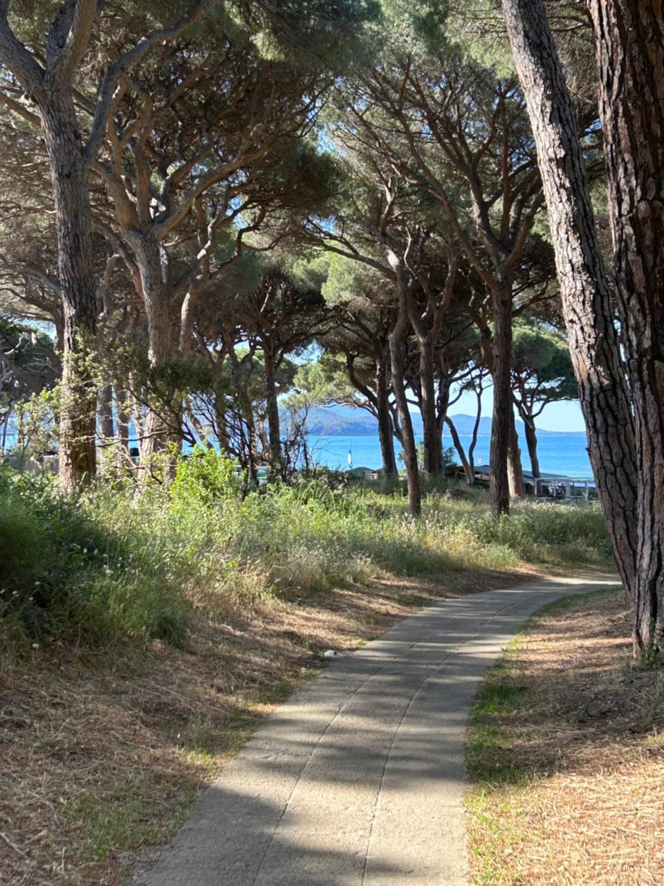 Day, Natural landscape, Beach, Sea view