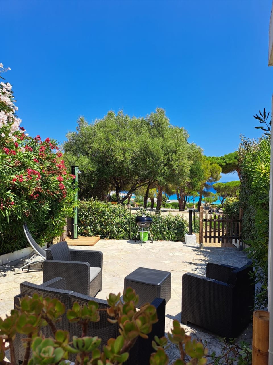 Garden view