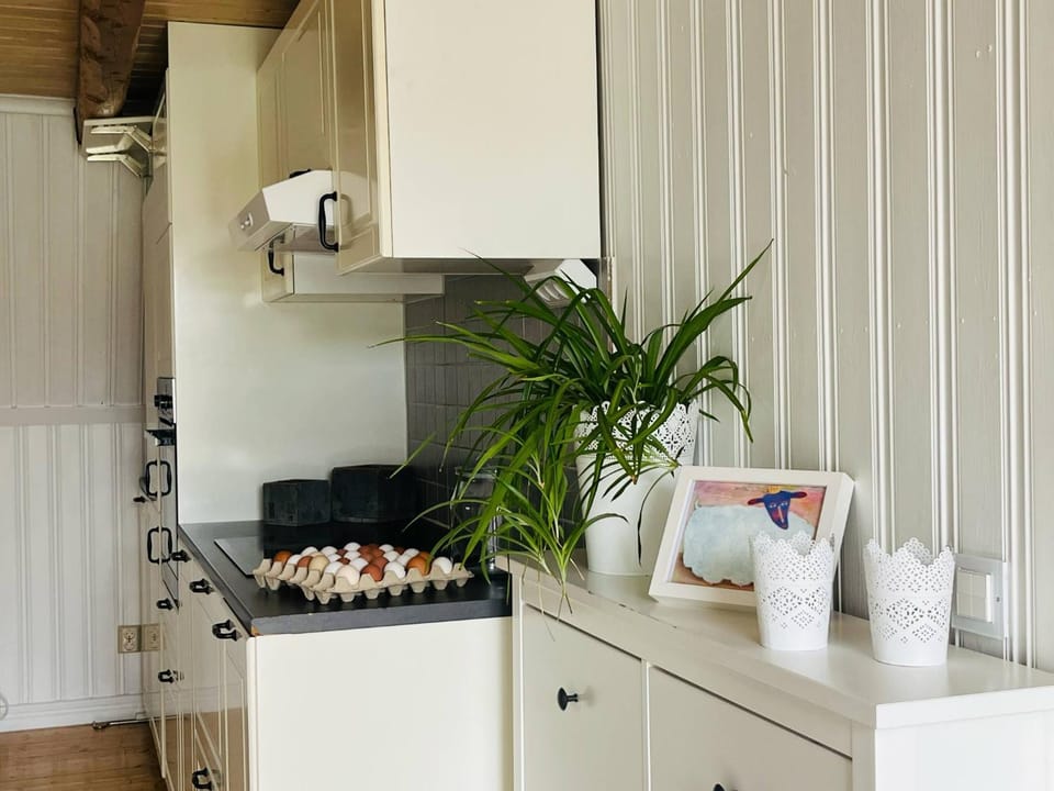 Gårdshuset i Kråkerum! Apartment in Kalmar County, Sweden