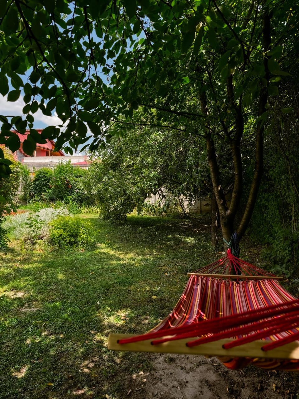 Garden, Garden, Garden view, furniture