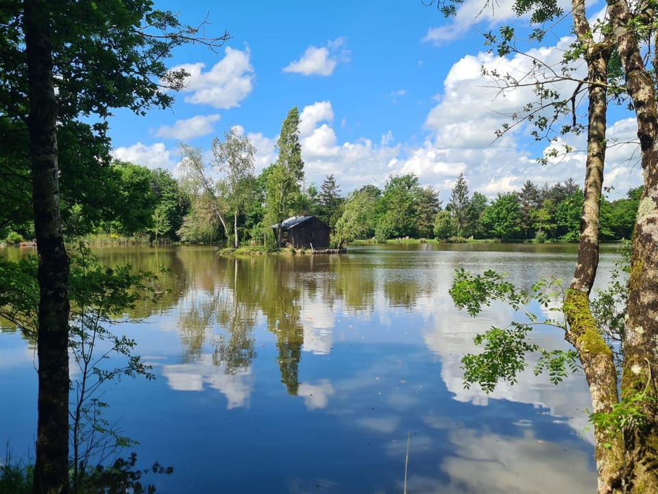 Lake view