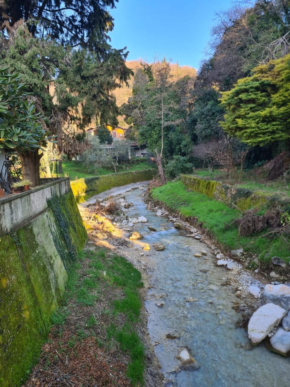 Natural landscape