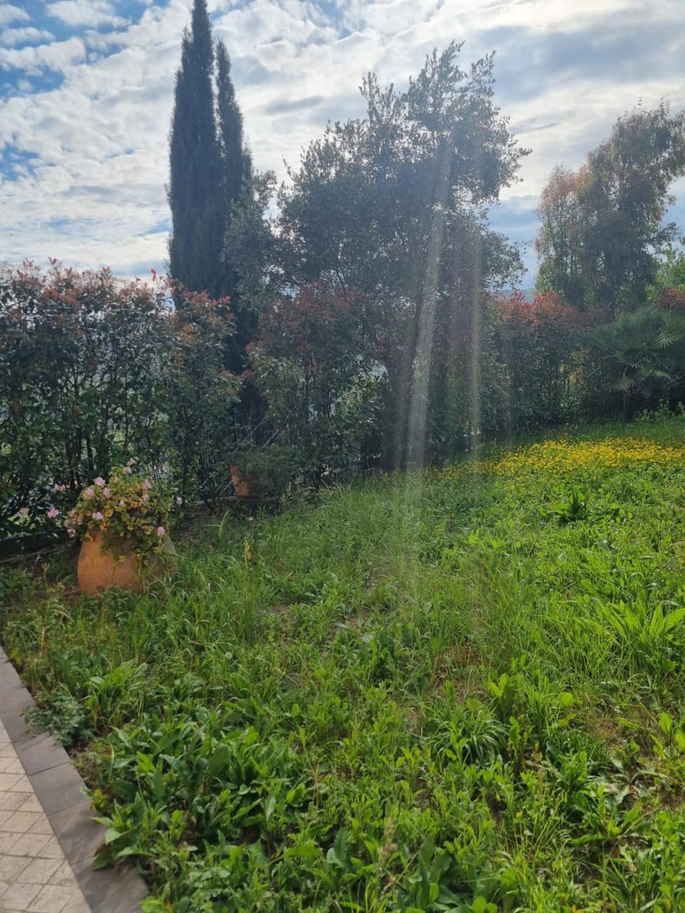La Bouganville Apartment in Imperia