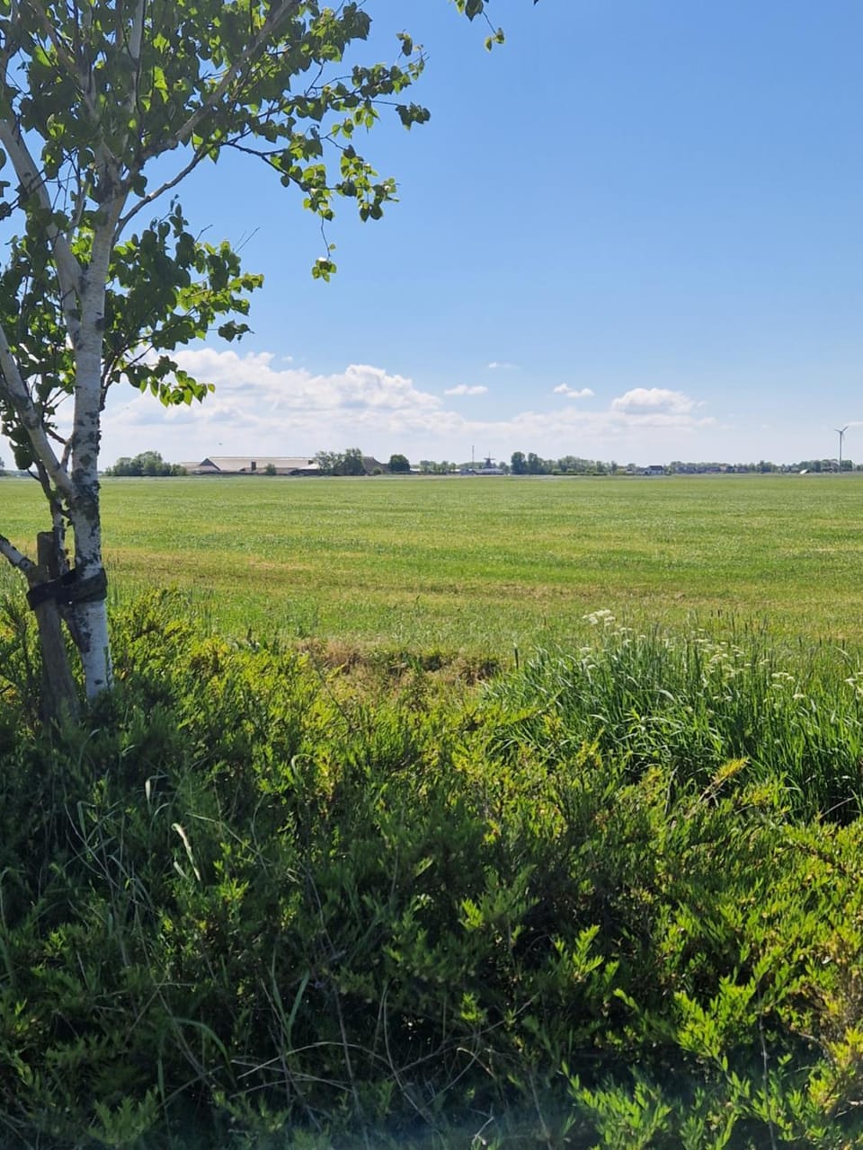 Spring, Day, Natural landscape