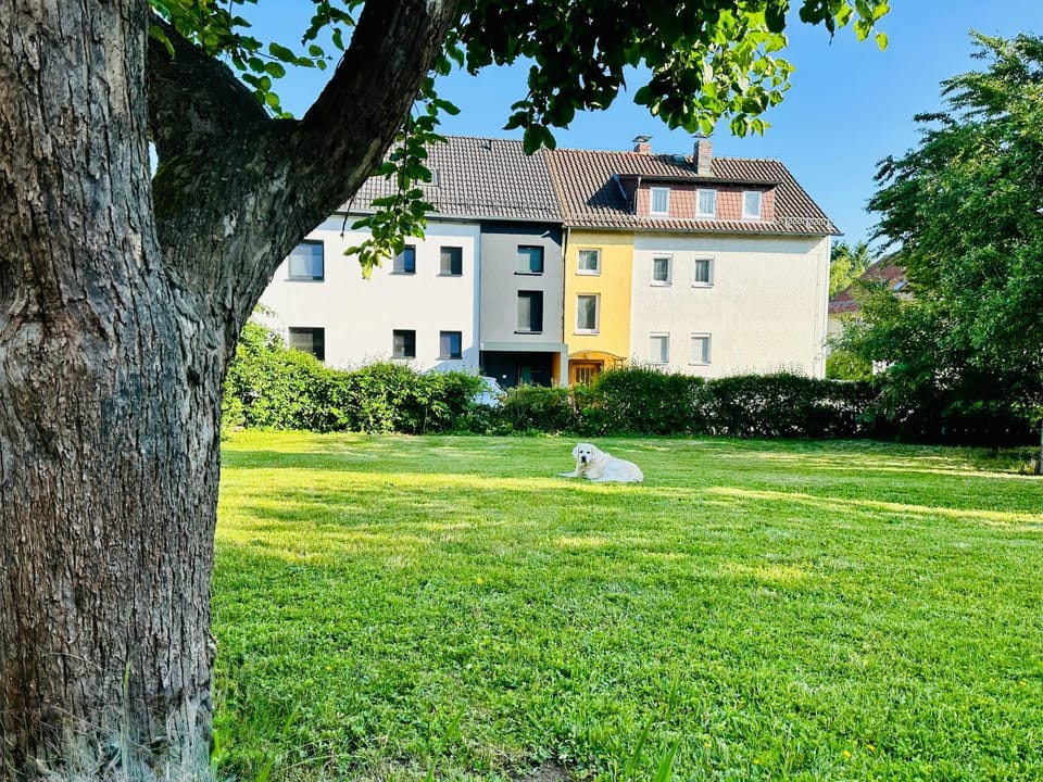 Garden, TV and multimedia, Garden view