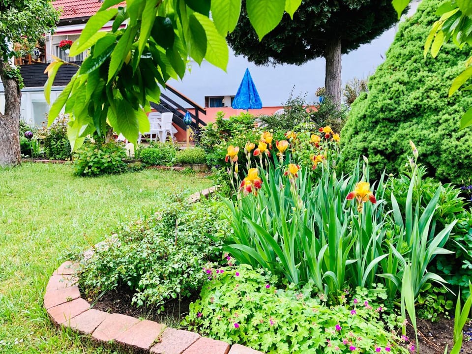Garden, Garden view