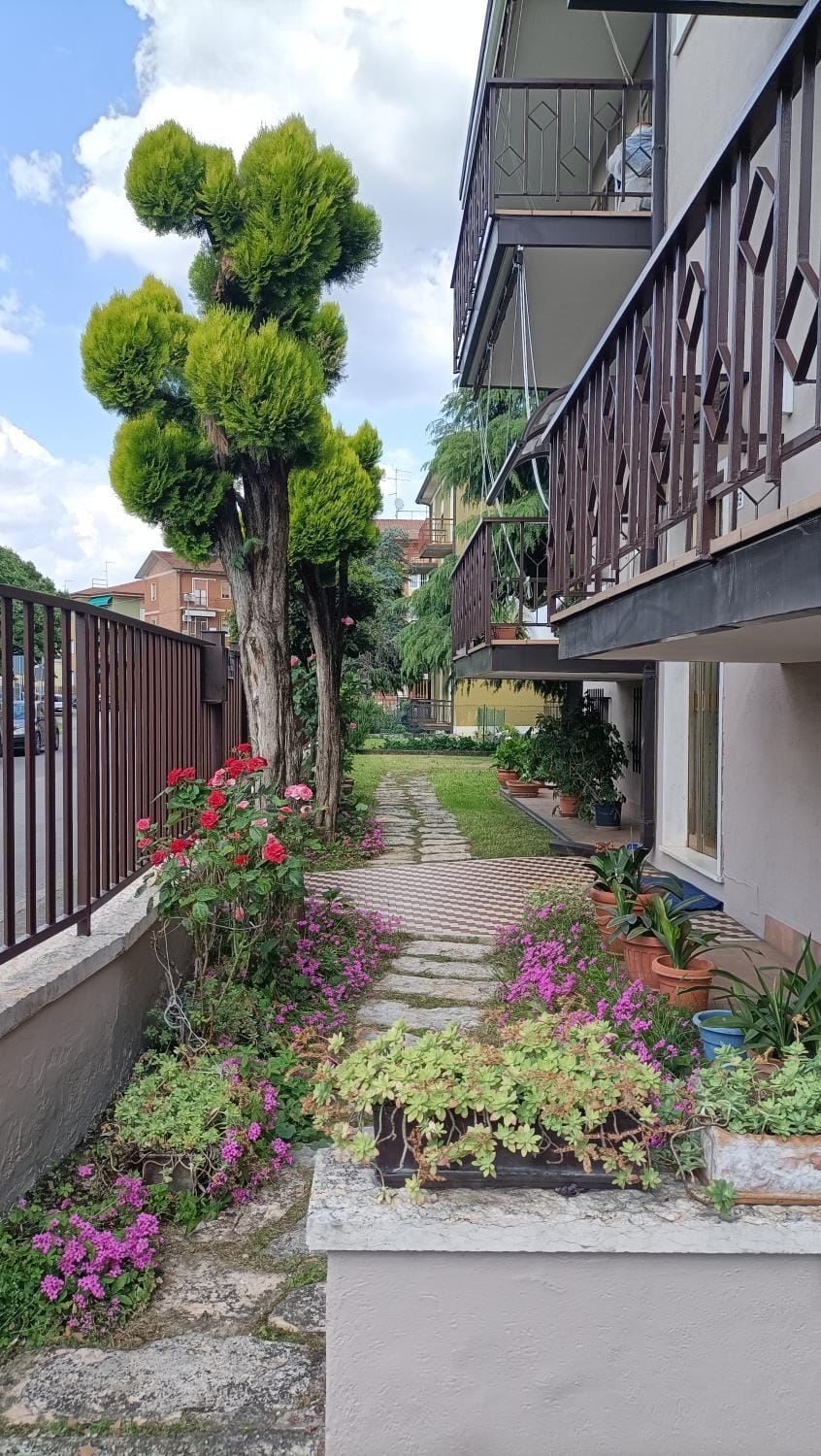 Garden view