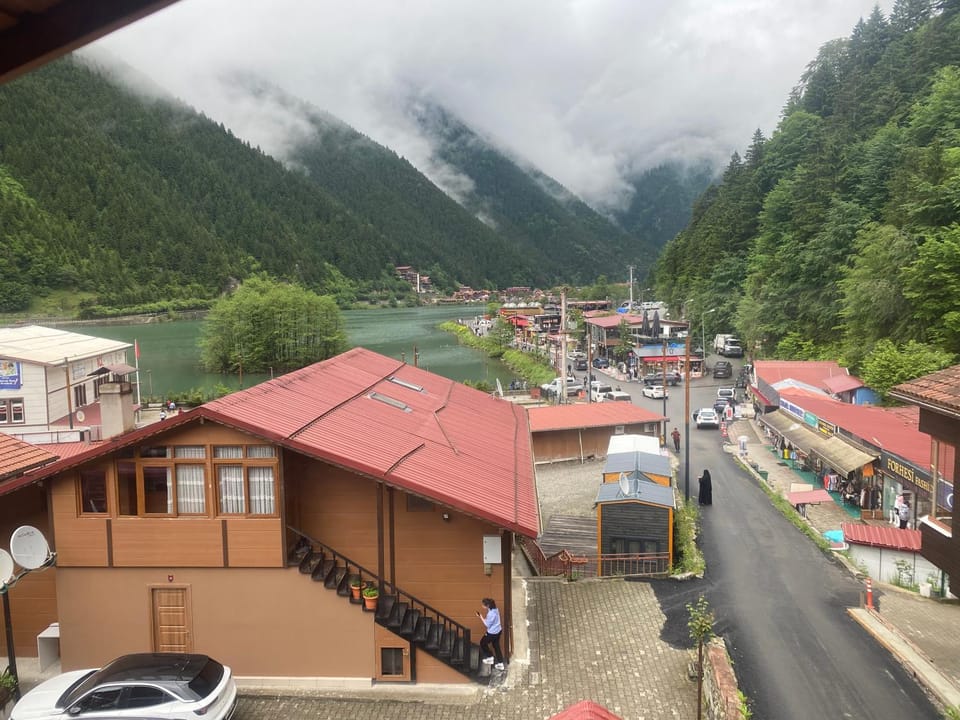 Neighbourhood, Natural landscape, View (from property/room), Balcony/Terrace, City view, Lake view, Mountain view, Street view, Location