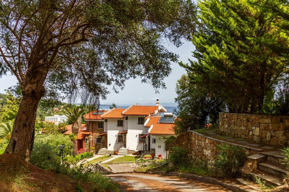 Property building, Day, Garden view