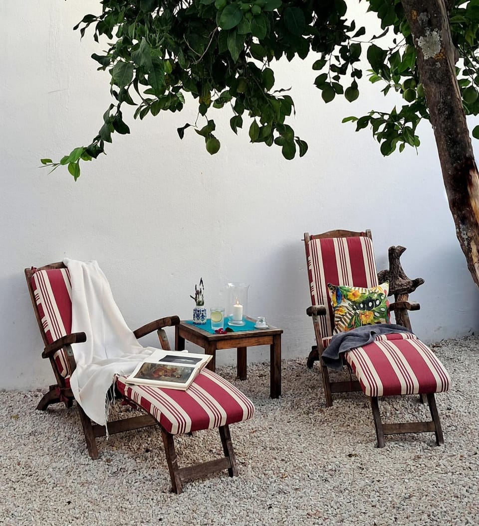 Patio, sunbed