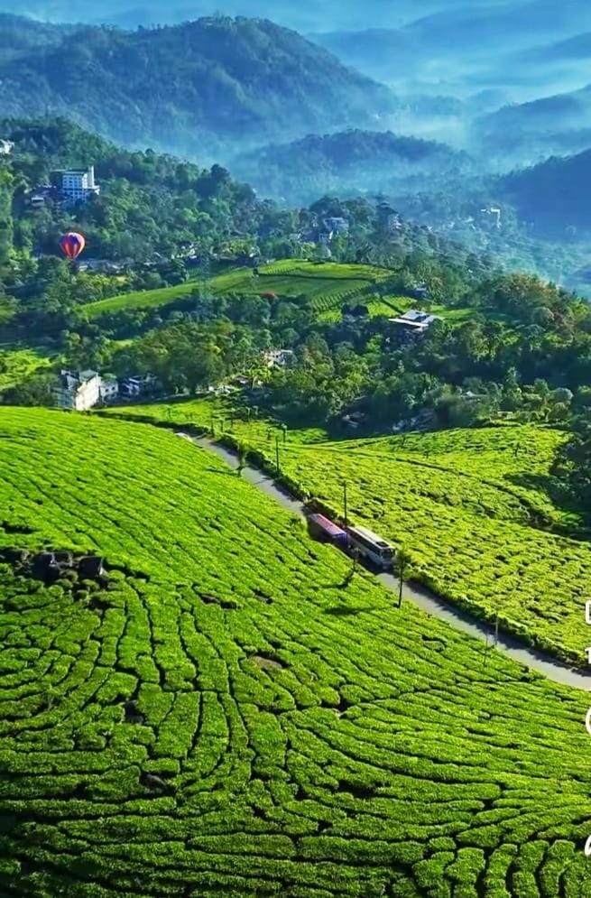 Mount Teena House in Kerala