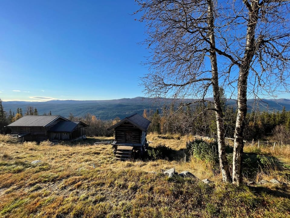 Day, Garden, Mountain view