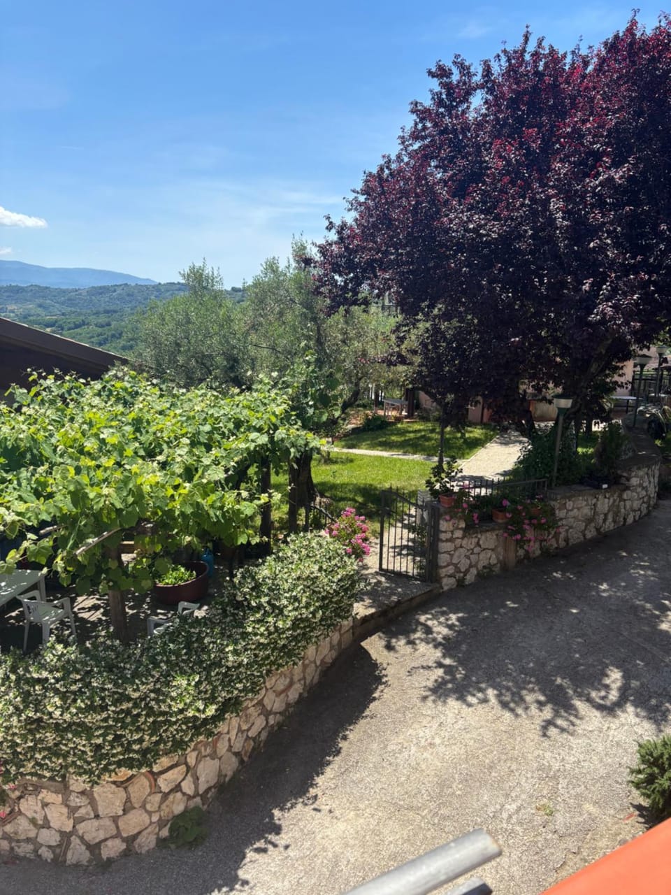 Agriturismo Colle Sant Angelo Farm Stay in Abruzzo