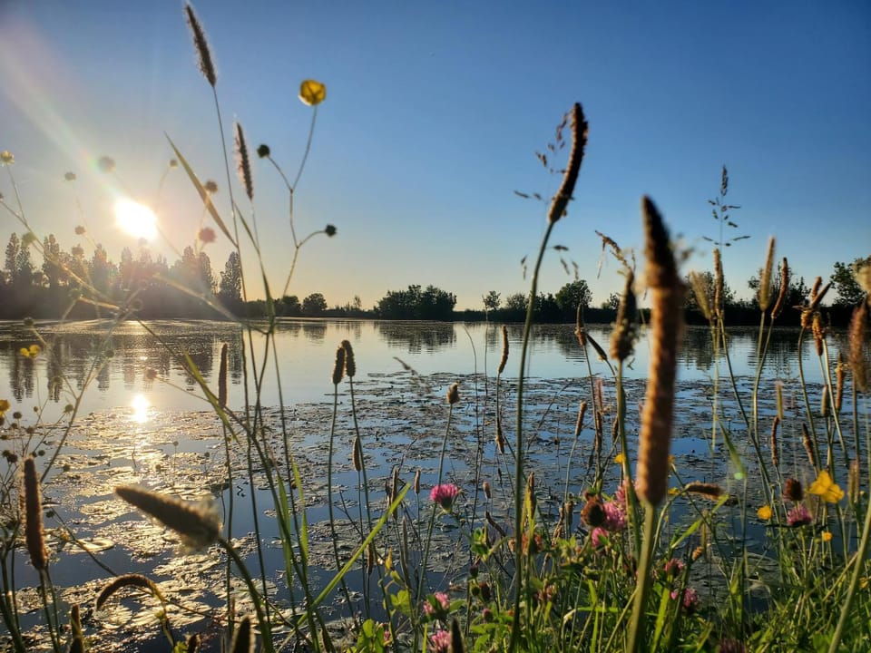 Natural landscape, River view