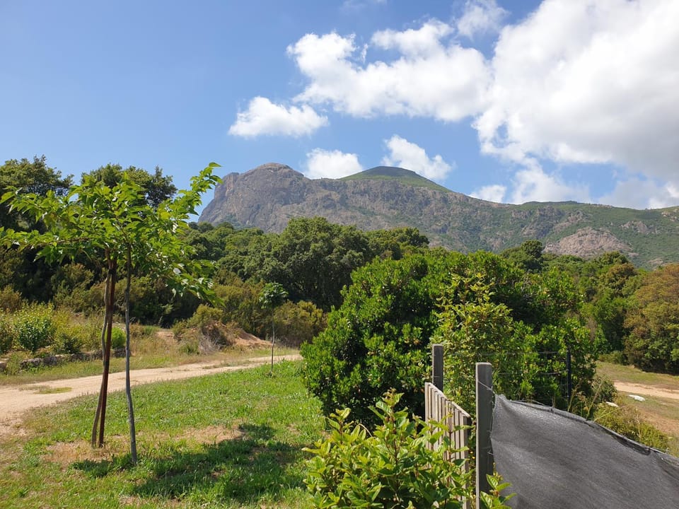 Gozzi Mandriolu Apartment in Corsica