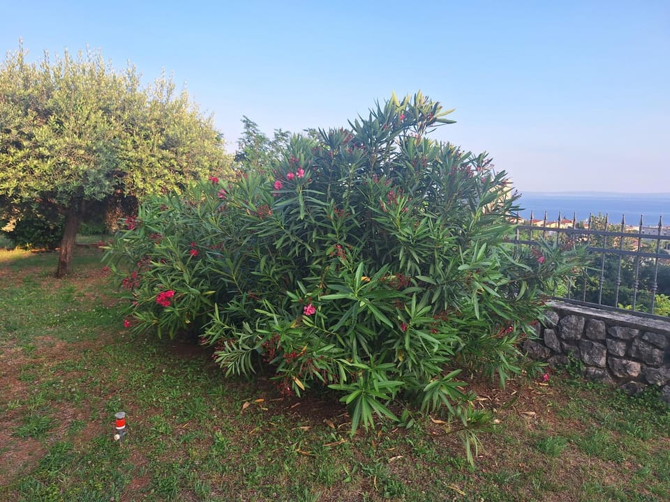 Apartman Fiuman Apartment in Rijeka