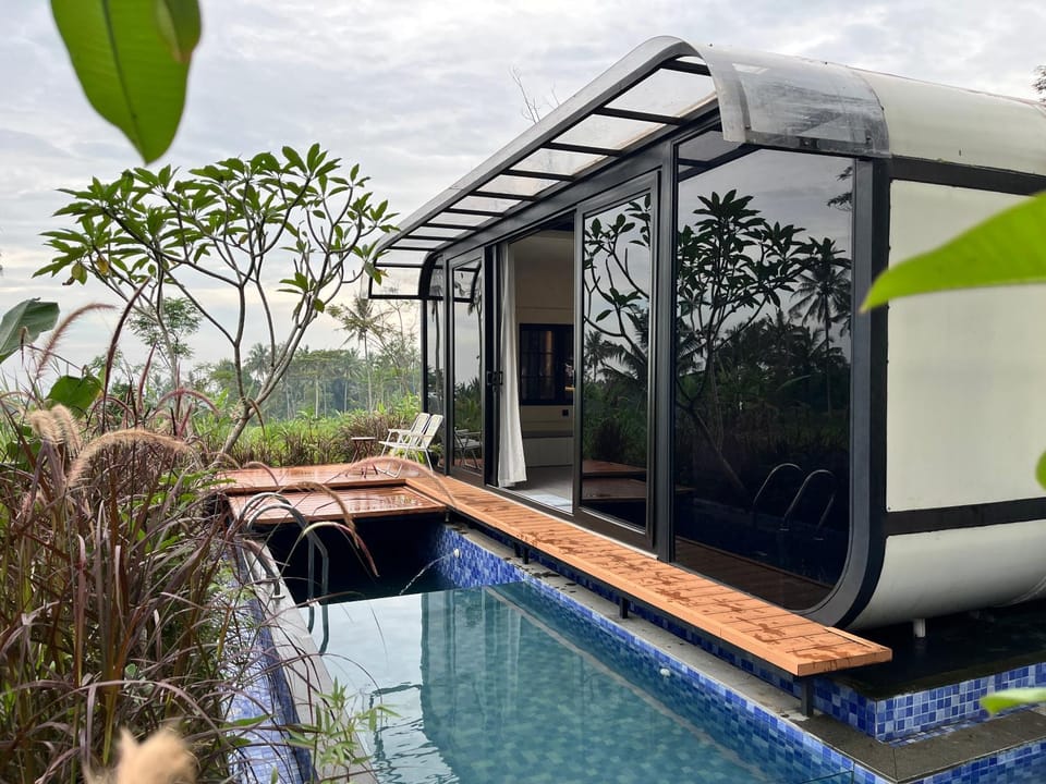 Patio, Garden view, Pool view, Swimming pool, Swimming pool