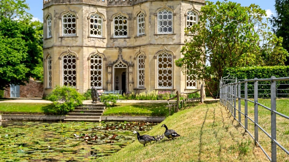 Property building, Garden, Garden view