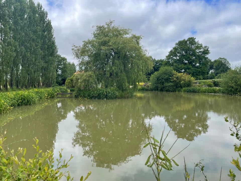 Lake view, Swimming pool