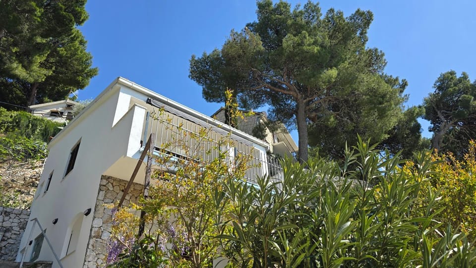 Property building, Garden