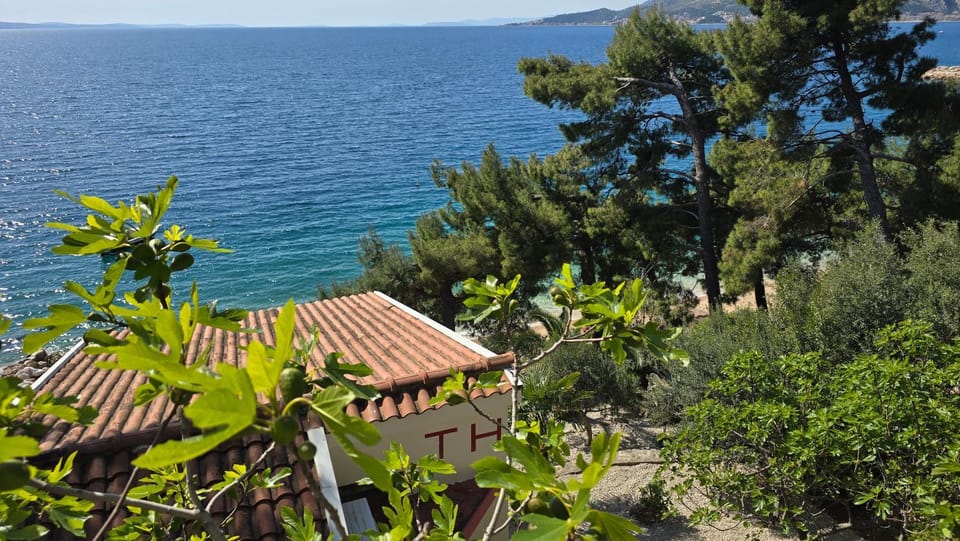 Sea view
