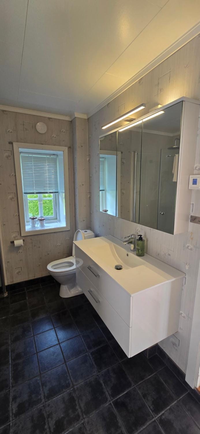 Toilet, Bathroom