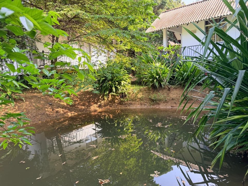 Greenfield Haven Resort in Dambulla