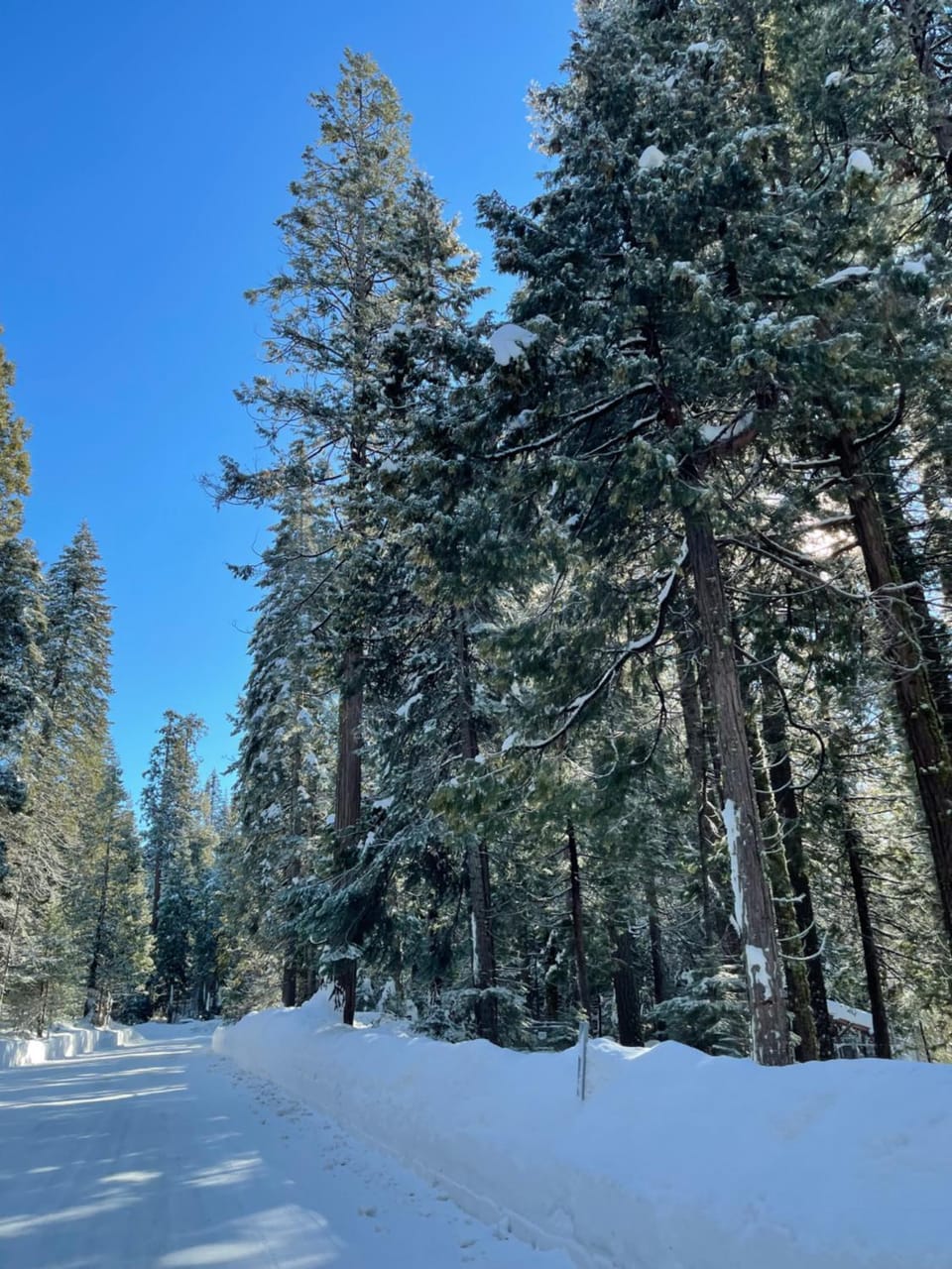 Natural landscape, Winter