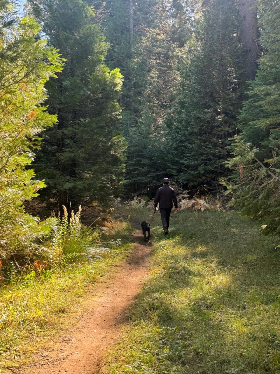 Day, Natural landscape, Animals