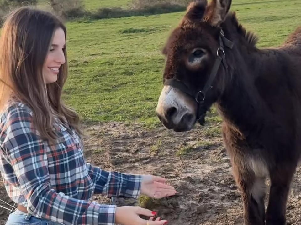 Niditas Suites & Horses Hotel in Santillana del Mar