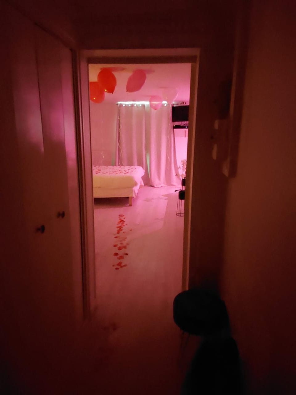 Photo of the whole room