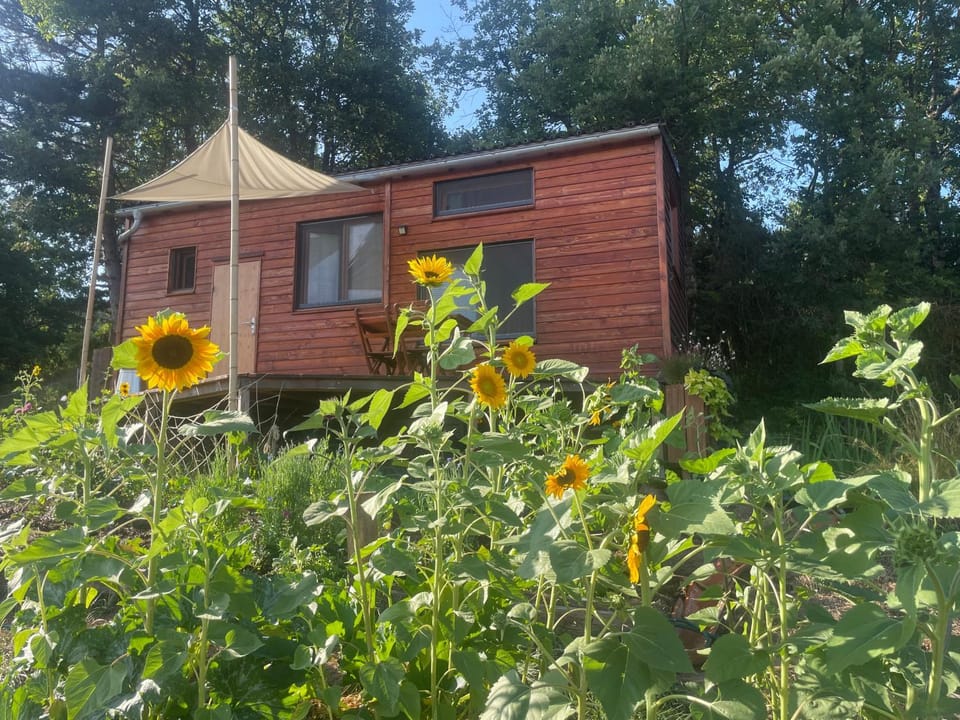Tiny House en bois Chalet in Occitanie