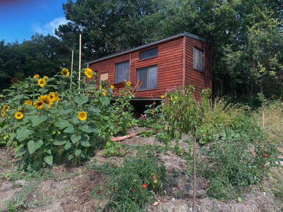 Tiny House en bois Chalet in Occitanie