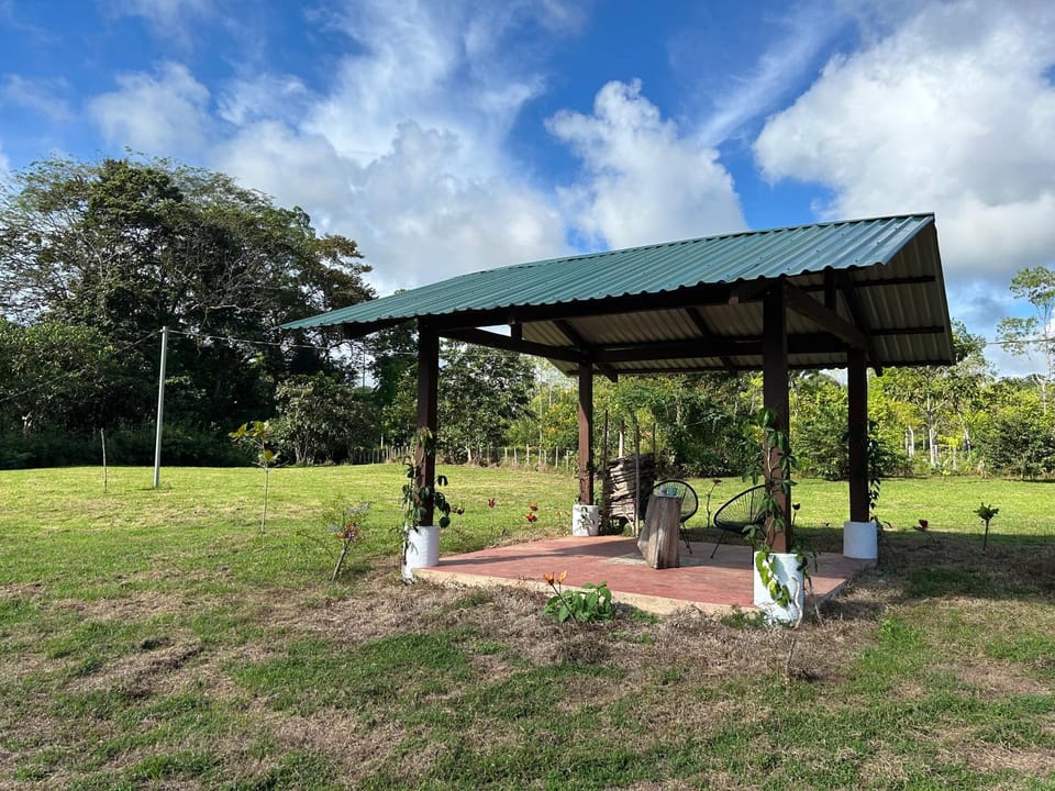 Garden, Garden view
