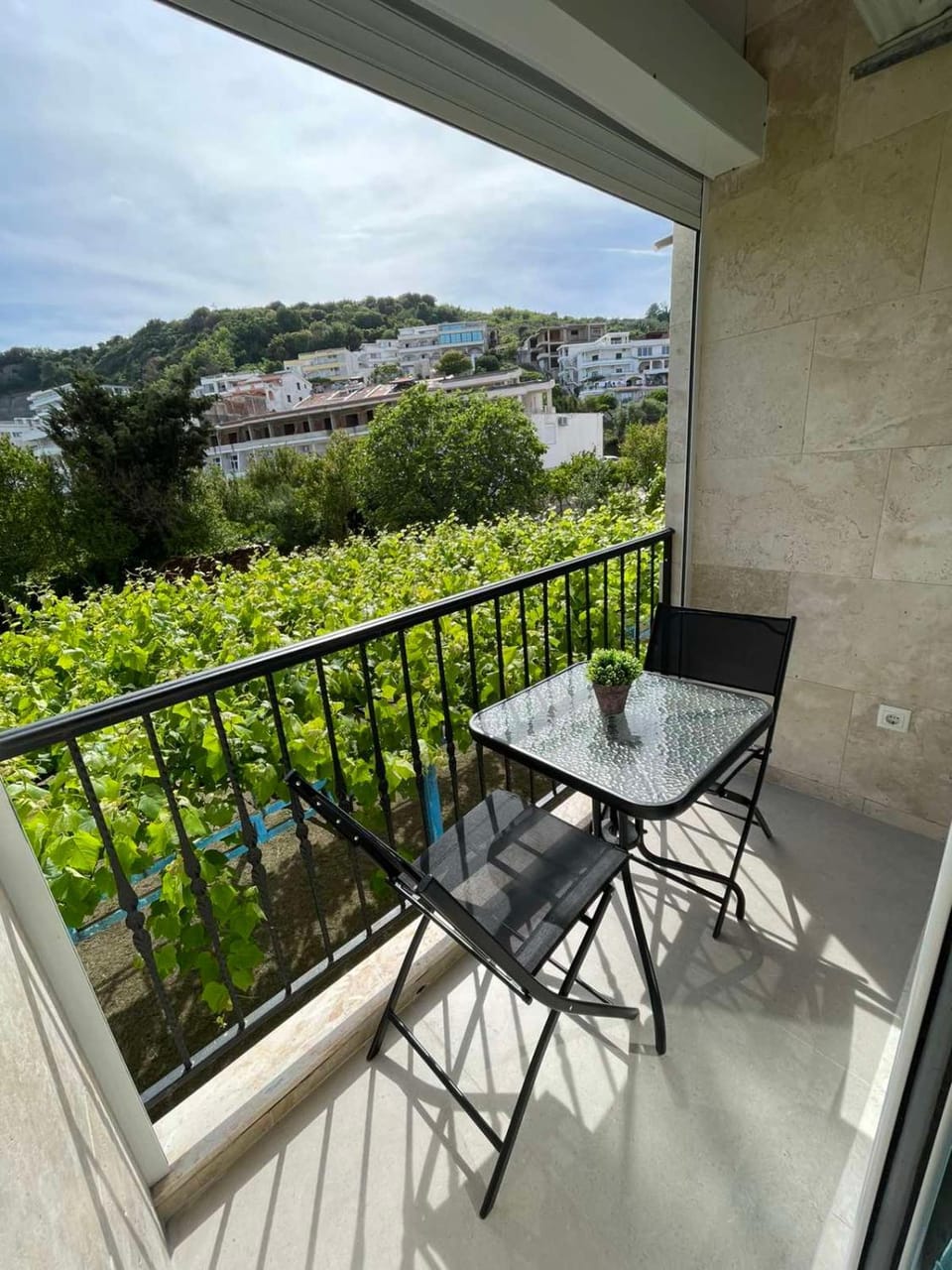 Elsa Apartment in Ulcinj Municipality