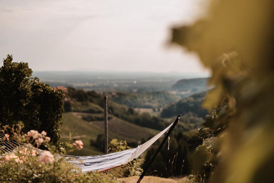 Spring, Day, Mountain view