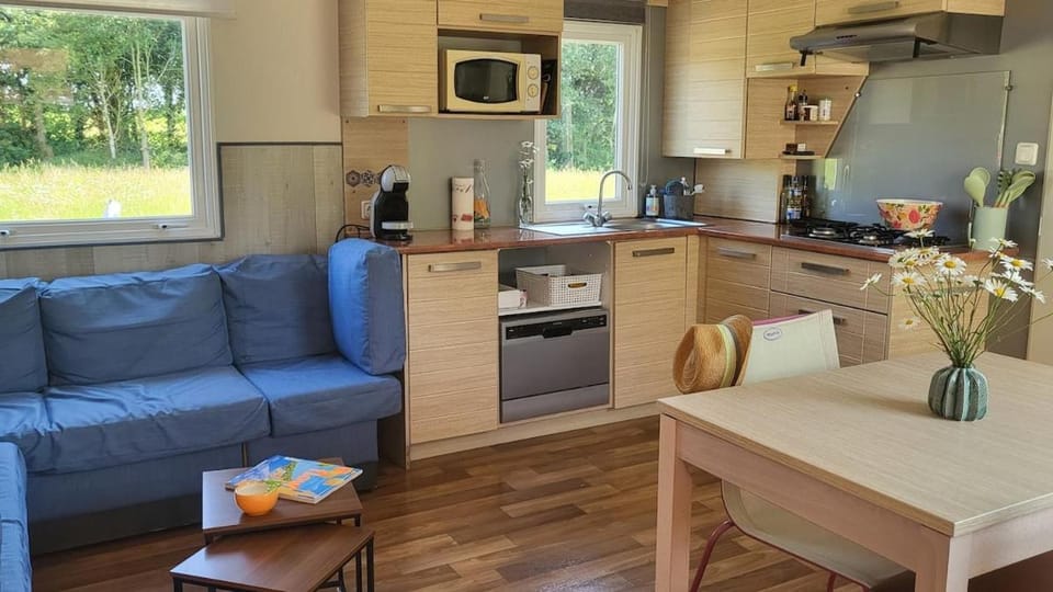 Kitchen or kitchenette, Living room, dishwasher